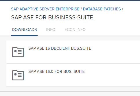 SAP ASE for Business Suite