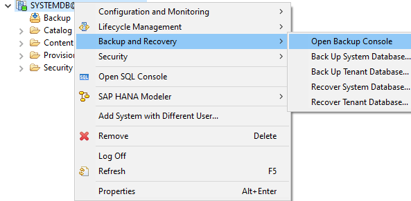 Backup and Recovery --> Open Backup Console